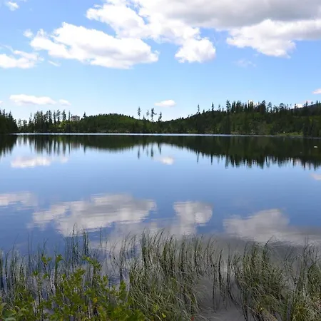 V Starej Lesnej S Balkonom