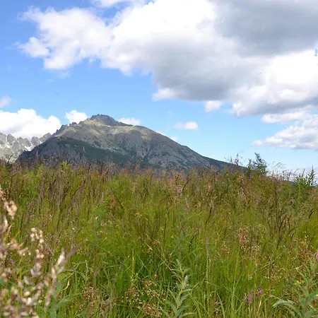 Апартаменты V Starej Lesnej S Balkonom Стара-Лесна