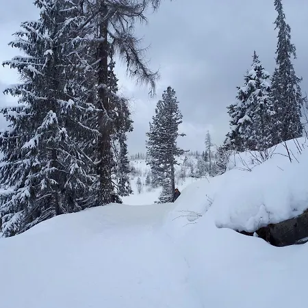 V Starej Lesnej S Balkónom