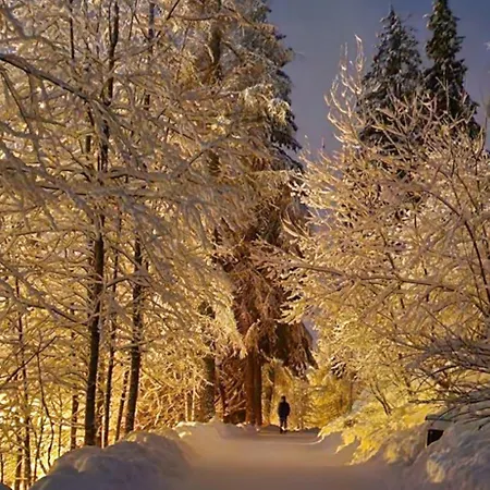 V Starej Lesnej S Balkónom Appartamento